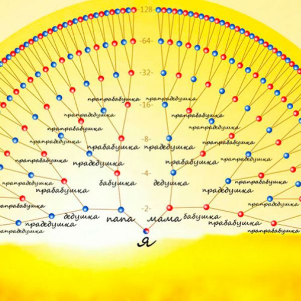 Семипоколенная карта рода